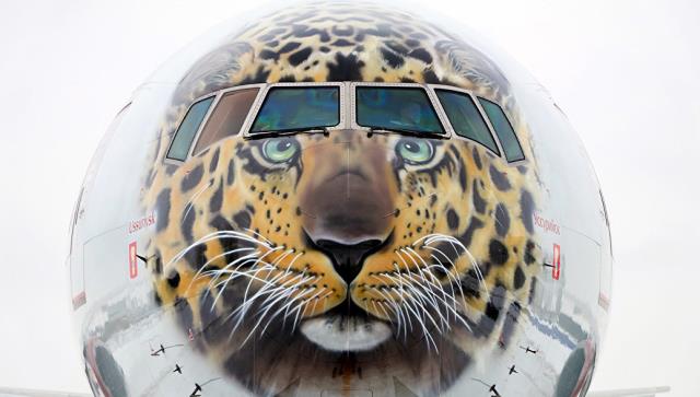 В парке авиакомпании "Россия" появился самолёт в ливрее с леопардом 